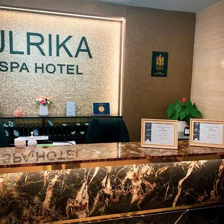 酒店 Ulrika 卡罗维发利