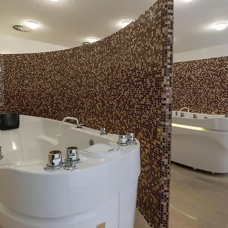 Ulrika Hotel Karlovy Vary